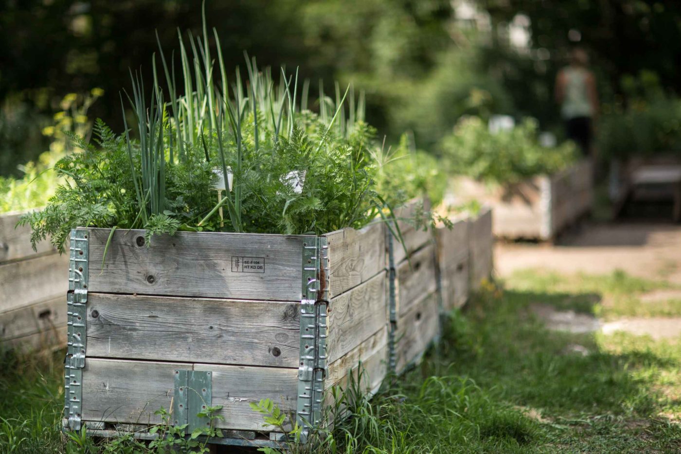 Soziale und urbane Landwirtschaft im Leipziger Westen mit ANNALINDE